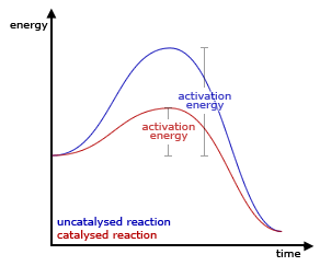 Effect of catalysts